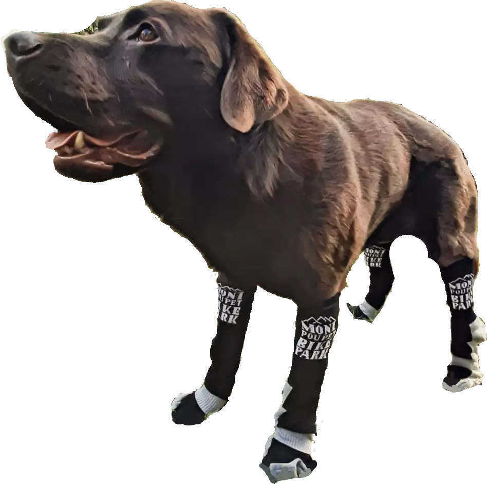 Chaussettes Mont Poupet