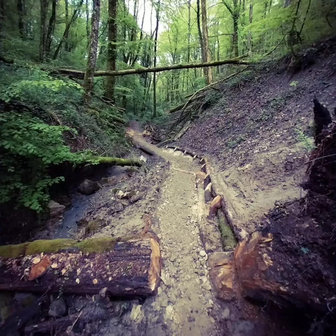 Mont Poupet Bike Park Instagram Post 5