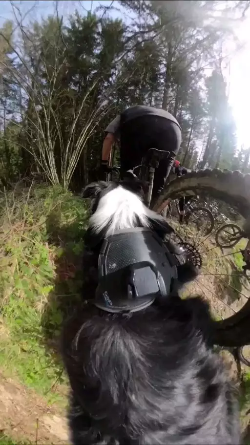 Mont Poupet Bike Park Instagram Post 6